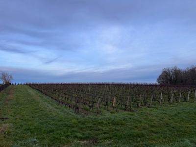 Annonce Vente Terrain Montussan 33