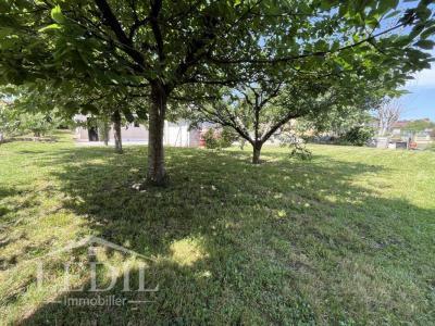 Acheter Maison 140 m2 Condom