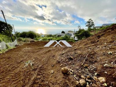 Annonce Vente Terrain Chaloupe 974