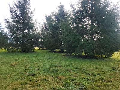 Annonce Vente Terrain  23