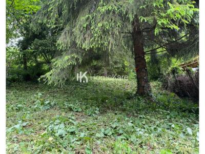 Acheter Maison 45 m2 Nistos