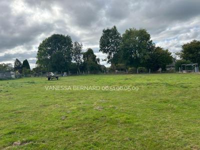 Annonce Vente Terrain Quetteville 14