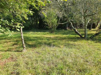 For sale Saint-paul-les-dax 381 m2 Landes (40990) photo 1