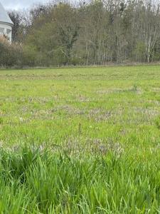 For sale Dammartin-en-goele 450 m2 Seine et marne (77230) photo 2