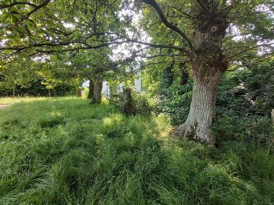 Annonce Vente Programme neuf Betton 35