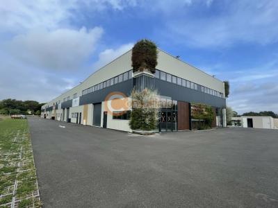 Annonce Location Commerce Salleboeuf 33