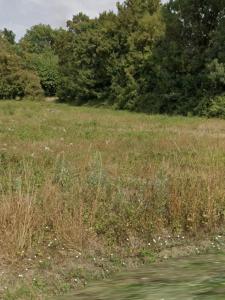 For sale Aigrefeuille-d'aunis 227 m2 Charente maritime (17290) photo 0