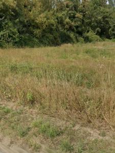 Annonce Vente Terrain Aigrefeuille-d'aunis 17