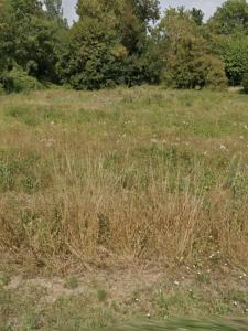 Acheter Terrain 227 m2 Aigrefeuille-d'aunis