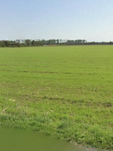 For sale Angliers 335 m2 Charente maritime (17540) photo 1