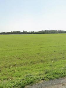 For sale Angliers 335 m2 Charente maritime (17540) photo 2