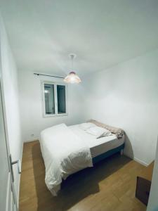 Acheter Maison Montech Tarn et garonne