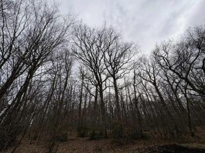 For sale Ardentes 14958 m2 Indre (36120) photo 0