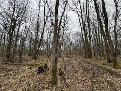 Acheter Domaine forestier Ardentes Indre