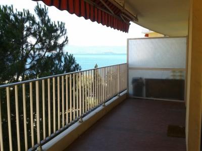 For rent Ajaccio 1 room 40 m2 Corse (20000) photo 0