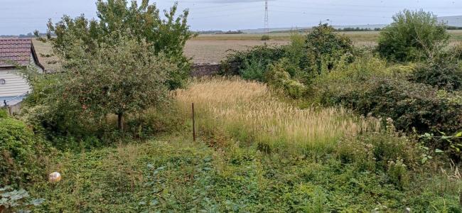 Annonce Vente Maison Wavrechain-sous-denain 59