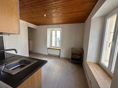 For rent Pontarlier 2 rooms 40 m2 Doubs (25300) photo 0