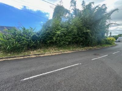 Annonce Vente Terrain Saint-denis 974