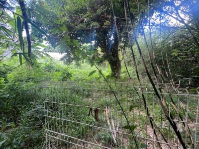 Acheter Terrain 487 m2 Saint-denis