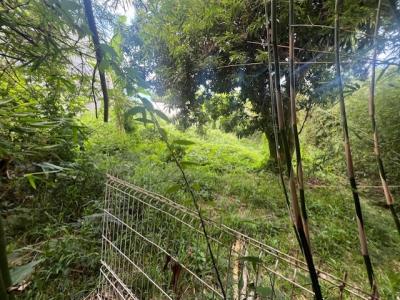 Acheter Terrain Saint-denis Reunion