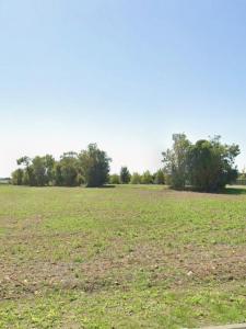 Acheter Terrain 300 m2 Saint-rogatien