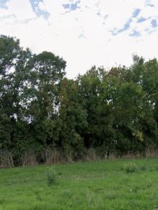 Annonce Vente Terrain Saint-xandre 17