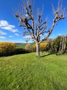 For sale Creusot 7 rooms 151 m2 Saone et loire (71200) photo 4