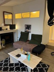 Annonce Location Appartement Lyon-2eme-arrondissement 69