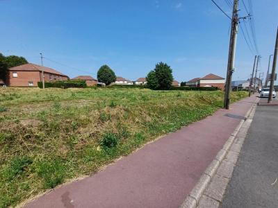 Annonce Vente Terrain Sallaumines 62