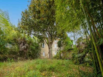 Annonce Vente 8 pi�ces Maison Saint-medard-de-guizieres 33