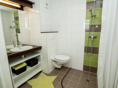 Acheter Appartement Grenoble Isere