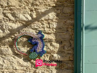 Acheter Maison 288 m2 Uzes