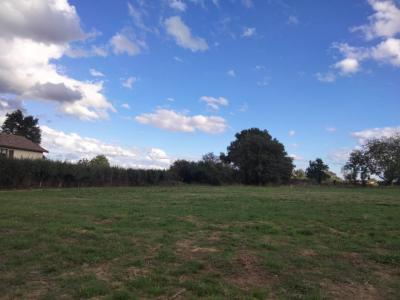 For sale Mizerieux 785 m2 Loire (42110) photo 0