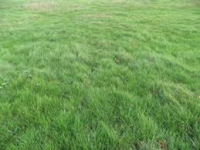 For sale Civens 740 m2 Loire (42110) photo 0