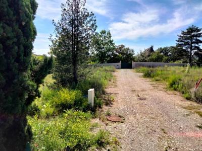 Annonce Vente Maison Decines-charpieu 69