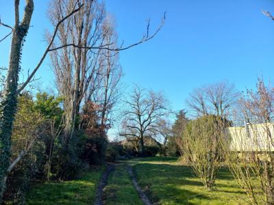 Annonce Vente Terrain Grenay 38