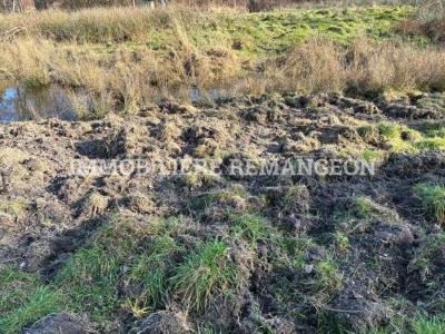 Acheter Prestige 377 m2 Lamotte-beuvron