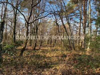 Acheter Prestige Lamotte-beuvron 1166000 euros