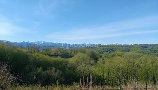 Annonce Vente 5 pi�ces Maison Lescar 64