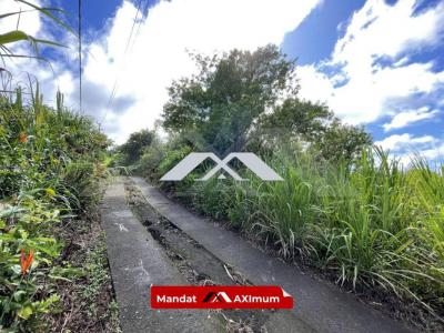 Annonce Vente Terrain Saint-joseph 974