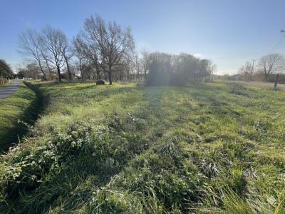 Annonce Vente Terrain Saint-nauphary 82