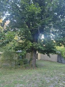 Acheter Maison  123000 euros