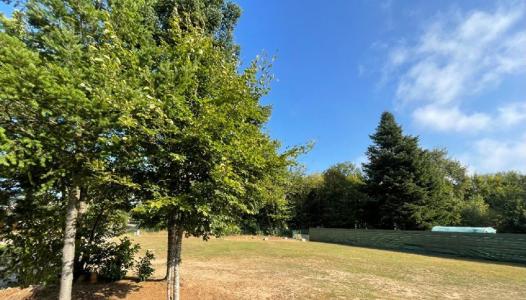 For sale 1278 m2 Haute vienne (87700) photo 0