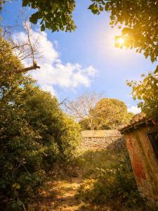 Acheter Maison  265000 euros