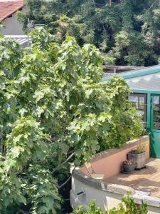 Annonce Vente 6 pi�ces Maison Avignon 84