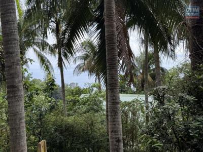 Annonce Vente Terrain Avirons 974