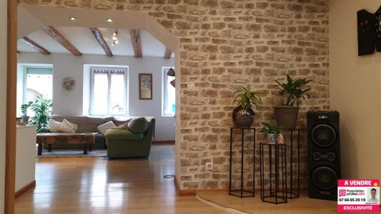 Acheter Maison 158 m2 Allondans