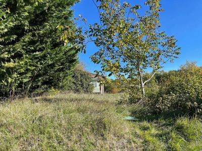 Acheter Terrain 3039 m2 Bussac