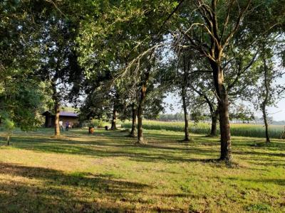 Annonce Vente 5 pi�ces Maison Soustons 40