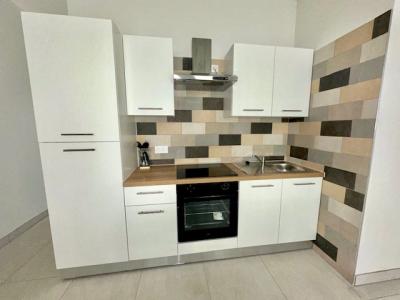 Louer Appartement 53 m2 Villeurbanne